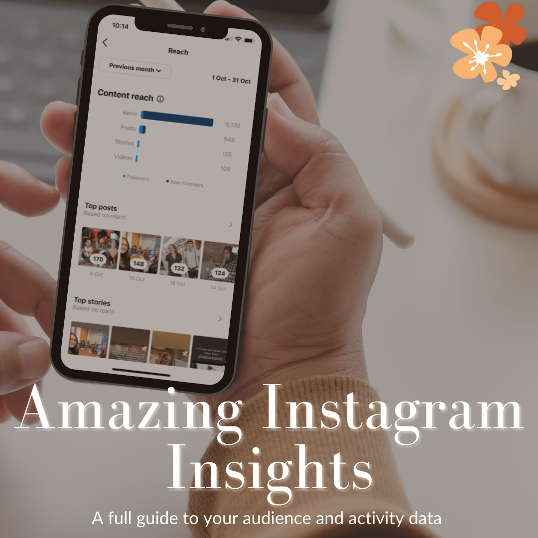 Instagram Insights Blog image - Pearce Marketing East Sussex
