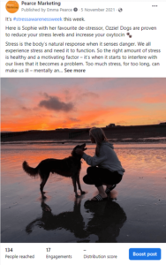 Facebook post of Sophie and her dog Ozzie Pearce Marketing East Sussex